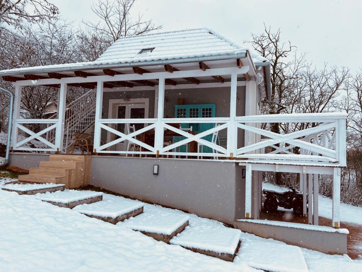 Dandelion "Zsalya" Vendeghaz Villa Kisapati Exterior photo